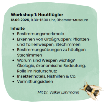 Bild Workshop 1: Hautflügler. Beschreibung mit hellgrünem Hintergrund und abgebildeter gezeichneter Hummer. 