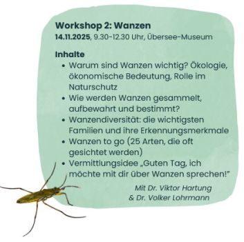 Beschreibung Workshop 2: Wanzen. Grüner Hintergrund, in de runteren linken Ecke ein Wasserläufer. 
