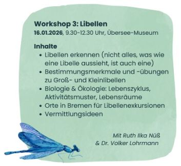 Beschreibung Workshop 3: Libellen. Grüner HIntergrund, in der unteren linken Ecke eine gemalte blaue Libelle. 